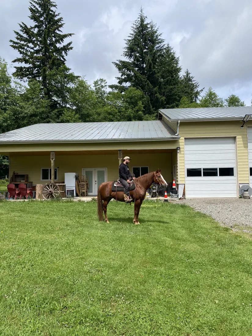 Adam riding a chestnut horse outdoors