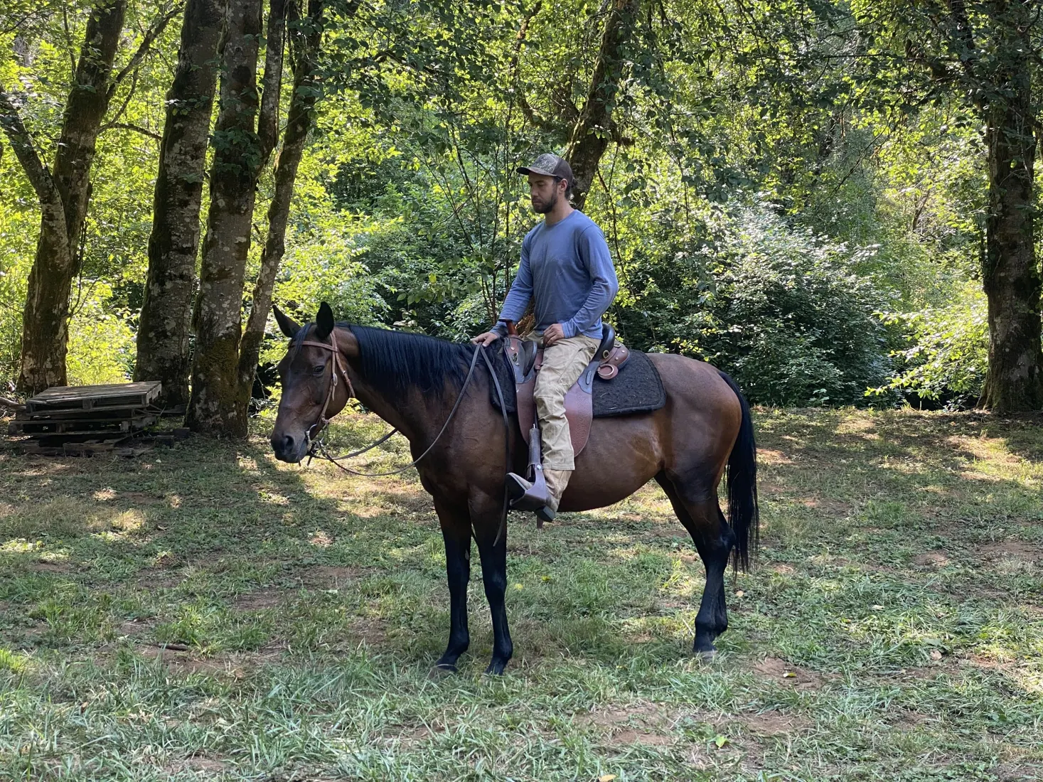 Adam riding a dark horse in a wooded area